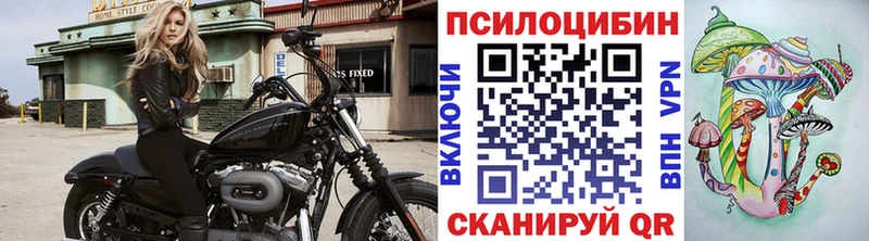 Псилоцибиновые грибы мухоморы где найти Катав-Ивановск